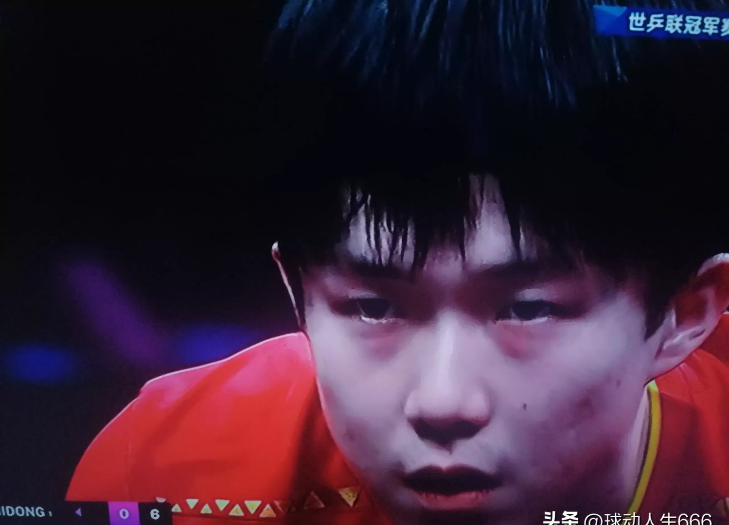  cooperation中文翻译 